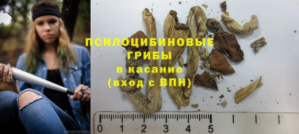 a pvp Верея